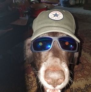 Meet your Posher, Kenny